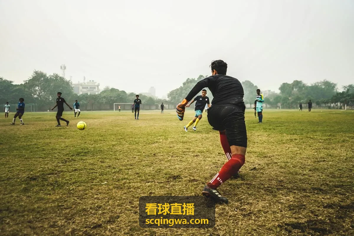 看球直播欧冠联赛入口